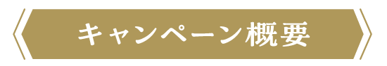 キャンペーン概要